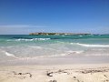 Lancelin Wedge Island (18)